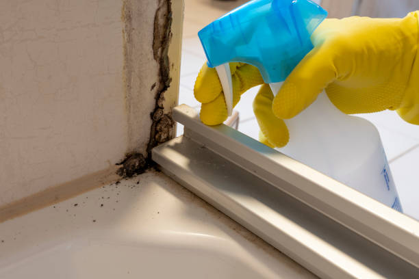 Crawl Space Mold Removal in Montgomery, PA
